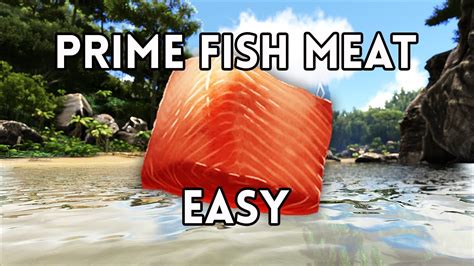 Learn how to harvest raw prime fish meat from megalodons, sabertooth salmon, leedicthys and other creatures in ARK Survival Evolved. . Prime fish meat ark